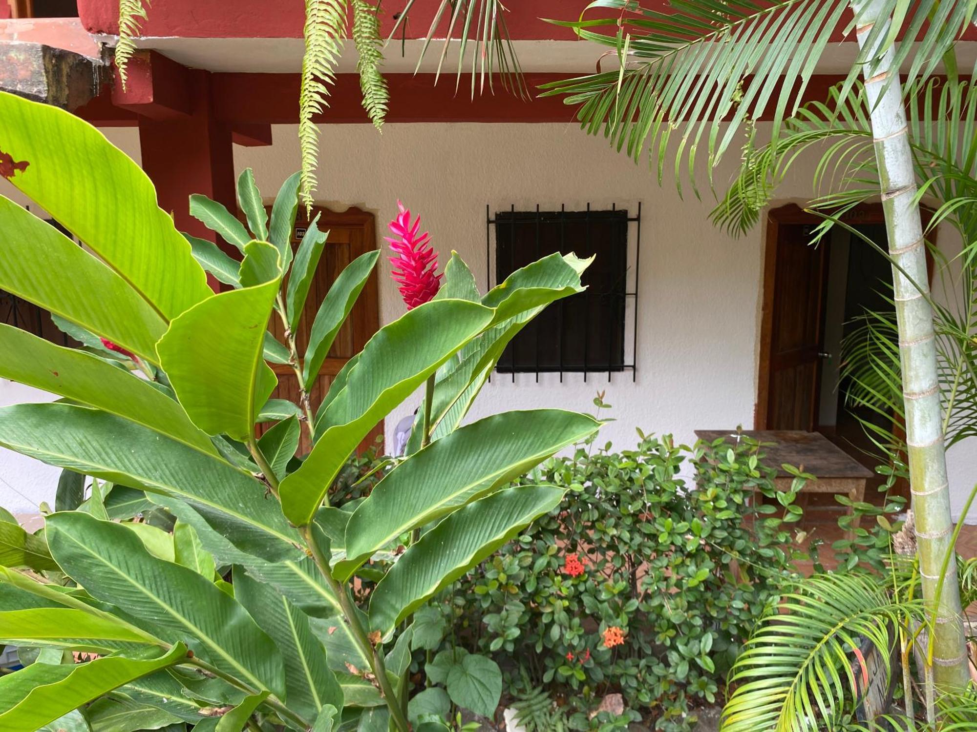 Hotel Posada La Canada ปาเลงเก ภายนอก รูปภาพ